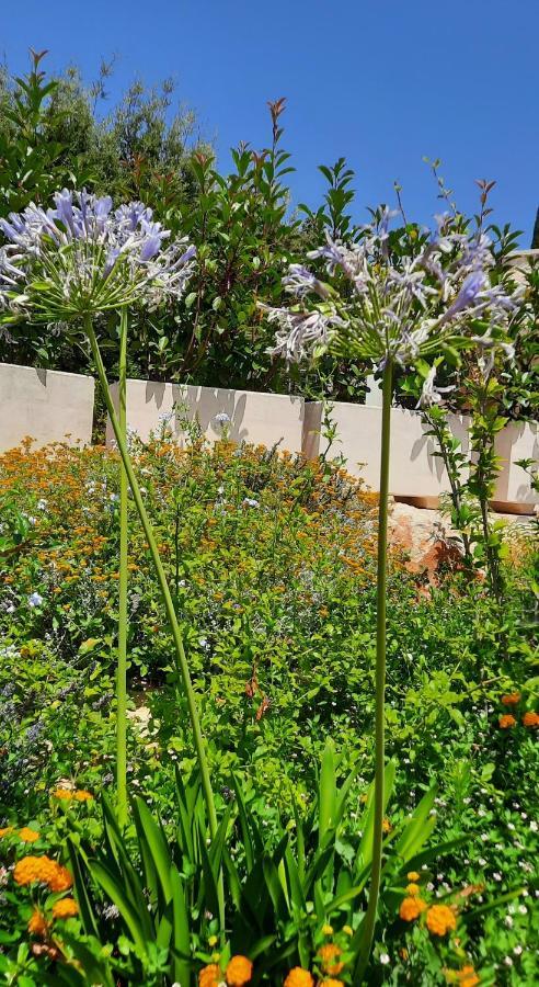 Trulli Giaci&Mauri Aparthotel Selva Di Fasano Εξωτερικό φωτογραφία
