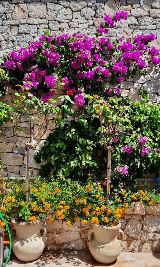 Trulli Giaci&Mauri Aparthotel Selva Di Fasano Εξωτερικό φωτογραφία